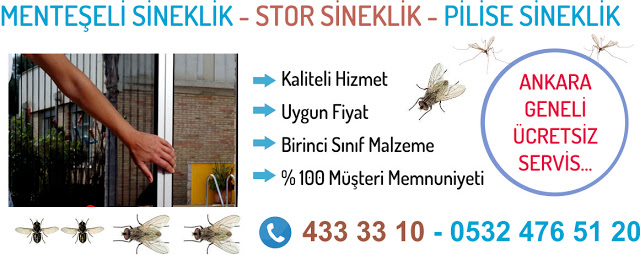 yeni sinek.jpg