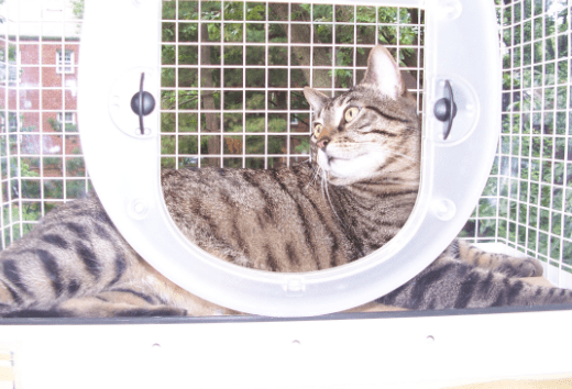 Ekran Resmi 2018-02-13 16.36.57.png