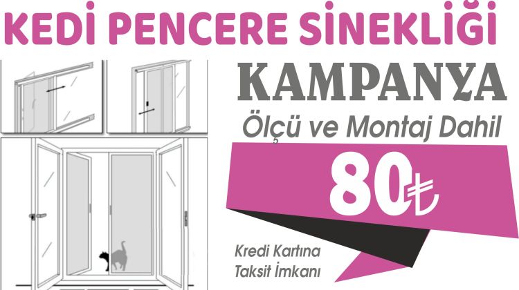 KEDİ PENCERE SİNEKLİĞİ.jpg