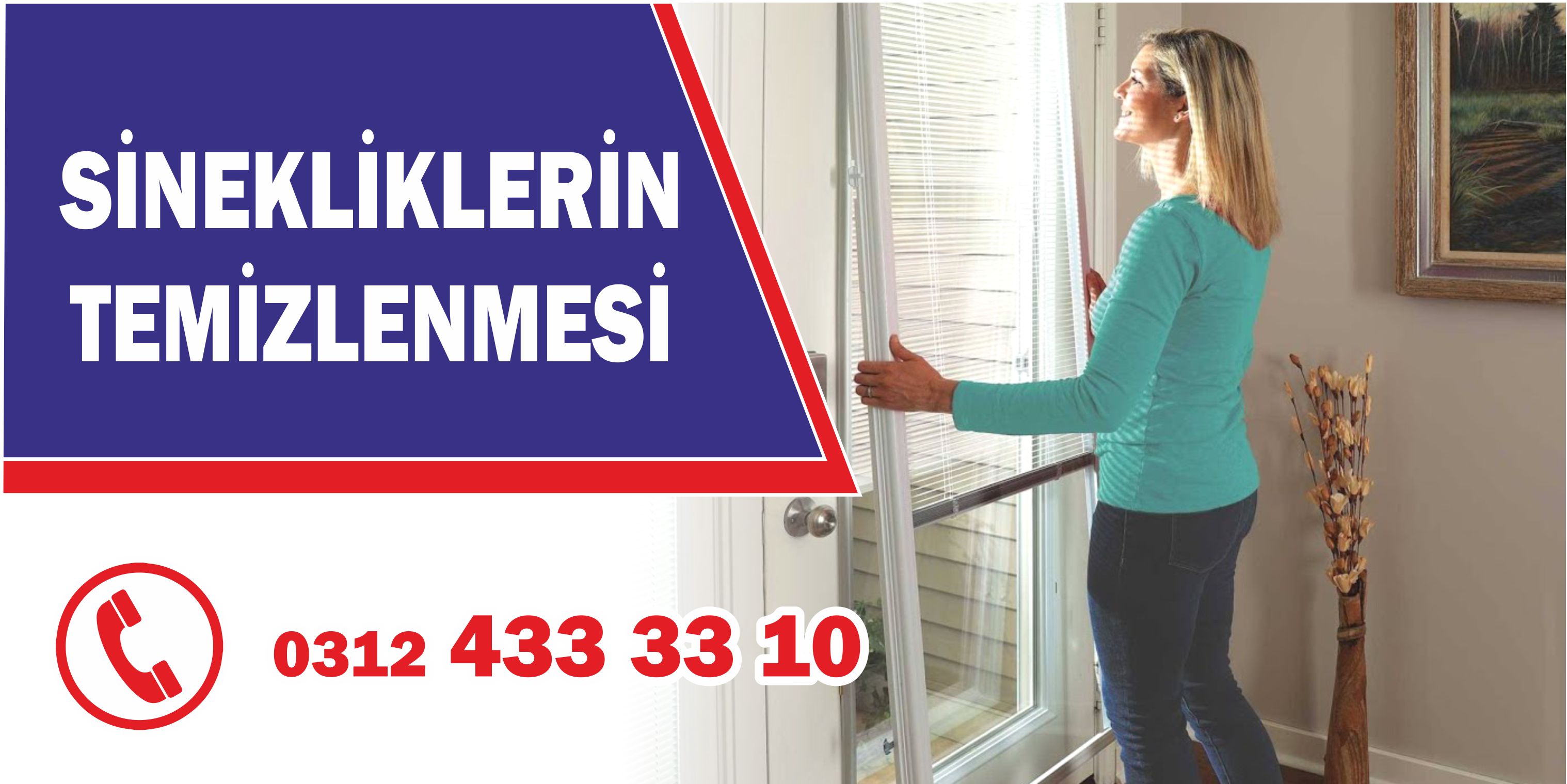 Sinekliklerin temizlenmesi