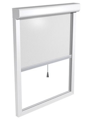 Stor sineklik ankara.png