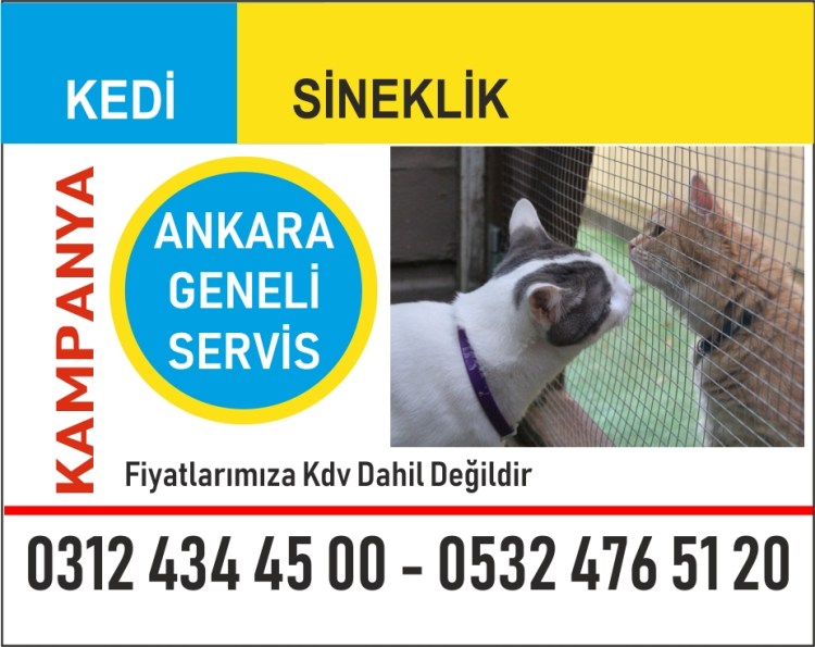 KEDİ SİNEKLİK