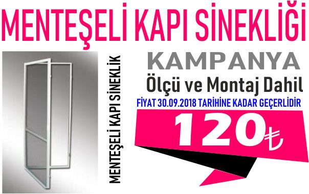 MENTEŞELİ KAPI 120