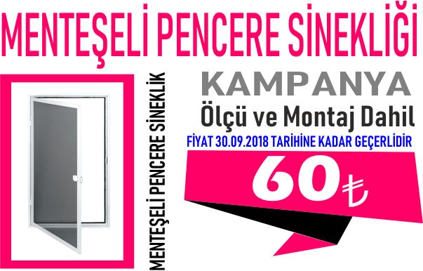 MENTEŞELİ PENCERE 60