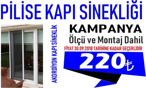 PİLİSE KAPI 220