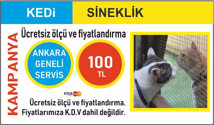 KEDi SiNEKLiK MART 2019-min