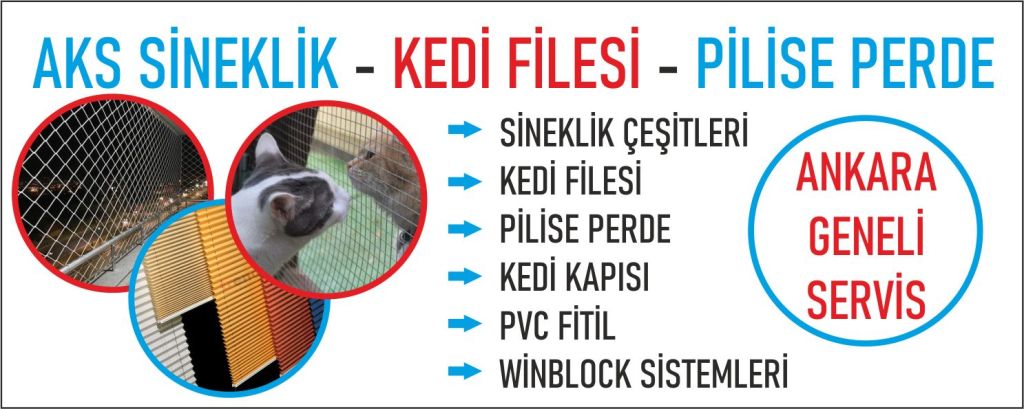 Çankaya Kedi Sinekliği